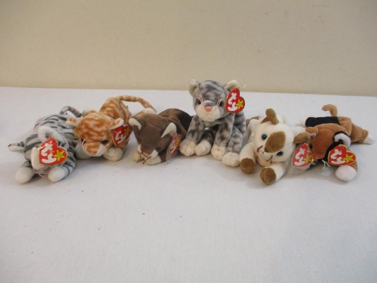 Six Cat TY Beanie Babies including Amber, Silver, Chip, Pounce, Snip and Prance, all tags included