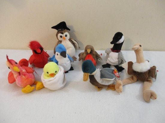 Nine Bird TY Beanie Babies including Rocket, Early, Stretch, Strut, Wise, Mac, Eggbert, Jake and