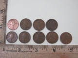 9 1919 Wheat Pennies