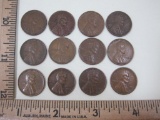 Twelve 1950 Wheat Pennies