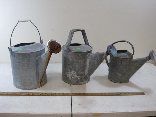 Three Assorted Sized Metal Watering Cans