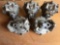 Five 2 Cylinder Assemblies