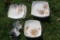 Set of Jacobean Trail Fine China to include 9 salad plates, 8 dinner plates (2 with a chip) and 2