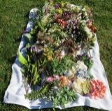 Large Amount of Artificial Flowers, many silk.