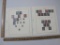 Postage Stamps includes 1894 Unwatermarked Engraved #246, #250 and more, with 1895 Watermark 191