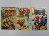 Three DC Kung-Fu Fighter Comic Books Nos. 3 (Sept 1975), 14 (April 1977), and 15 (June 1977), 5 oz