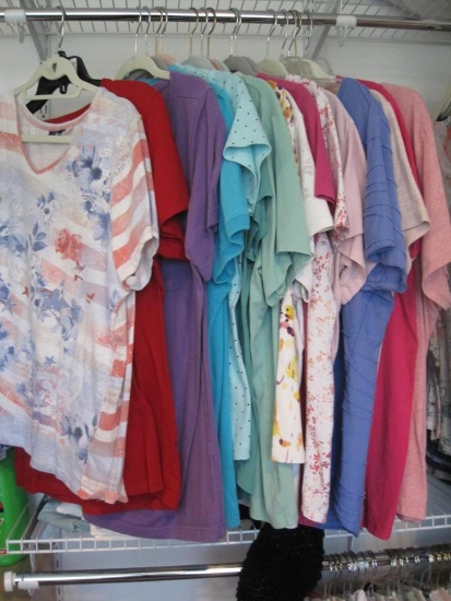 Approx 2 Dozen Assorted Ladies T-Shirts, sizes L- 2x