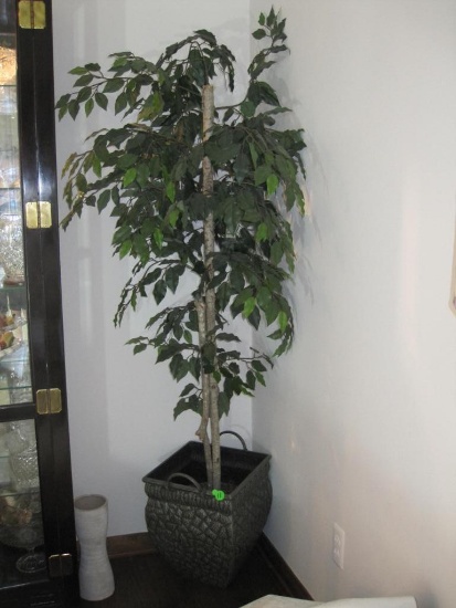 Faux Ficus Tree in Metal Plant Holder, approx 6ft tall, never needs water!