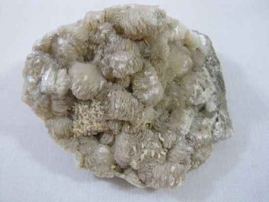Rock Specimen, approx 5 X 6 inches