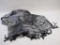 Metallic Scarf/Shawl with Fringe Edges, 7 oz