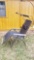 Folding Bliss Lounger Chair with Sun Shade