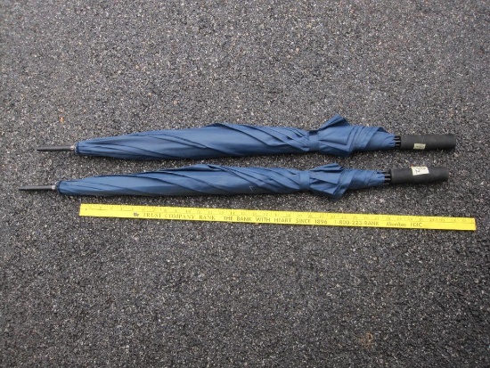Two Large Blue Umbrellas