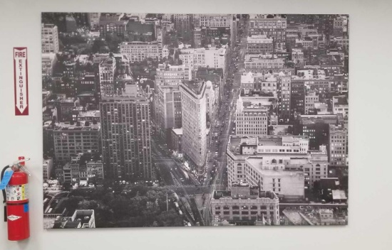 Vinyl of New York including the Flat Iron Building , 6 1/2 ft X 4 1/2 ft approx dimensions