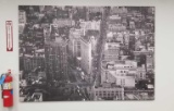 Vinyl of New York including the Flat Iron Building , 6 1/2 ft X 4 1/2 ft approx dimensions