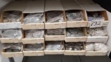 Fifteen Boxes of Assorted Readers, Sunglasses, Mezzanine Level