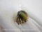 10KT Gold Ring with Vintage Brown Star Sapphire, size 4.5, 4.5 g total weight