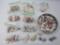 Assortment of Seas Shells, great for crafting and decor