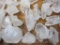 Arkansas Quartz Points and Clusters, approx 12 oz