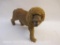Lion Statue with Real Fur, see pictures, 1 lb 5 oz