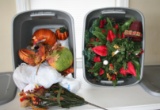 Thanksgiving and Christmas Décor