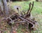 Antique farm implement