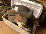 LARGE ASSORTMENT OF MISC WATER FOWL DECOYS