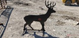 DEER SHOOTING TARGET