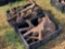 8 BLKACK CRATES OF MISC PARTS