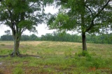 171 ACRES OF PREMIER REAL ESTATE