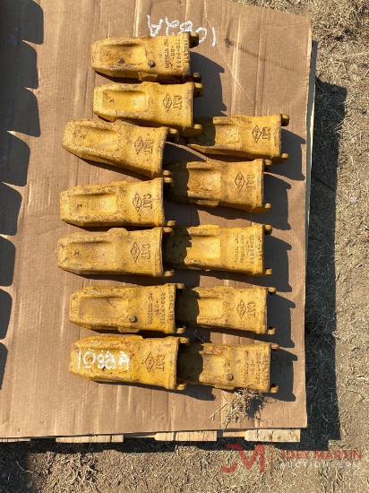 (12) NEW BUCKET TEETH