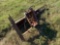 HYDRAULIC POST DRIVER