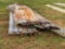 STACK OF ROOF TIN 3' X 20 1/2'