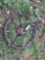 STEEL WHEEL