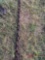 HD. CHAIN