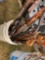 NUMEROUS HAND SAWS