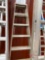 ALUMINUM LADDER