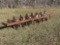 3PH 7 FIELD ROW CULTIVATOR