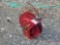 REEL CRAFT HOSE REEL WITH HOSE