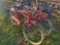 HUFFING BICYCLE