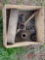 (2) TAP AND DIE SETS