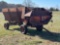FARM HAND F44-B SILAGE WAGON