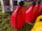 (1) NEW PLASTIC FIVE GALLON U JUG (RED)
