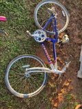 SEDONA GIANT BICYCLE