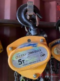 OLTN 5 TON CHAIN HOIST, (PIC IS A SAMPLE, ITEMS MAY VARY IN CONDITION)
