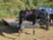 2021 ELITE 27'+5' GOOSENECK TRAILER