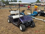 EZ-GO ELECTRIC GOLF CART