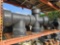 CONTENTS OF SHELF, VARIOUS PLASTIC AND PVC PIPE FITTINGS
