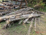 VARIOUS LENGTH CYPRESS LOGS