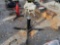 TRANSMISSION JACK
