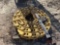 DOZER CHAIN RAIL